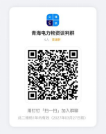 国网青海省电力公司2026年紧急项目物资第三次竞争性谈判采购项目招标公告2826JE
